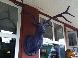 purple antlers